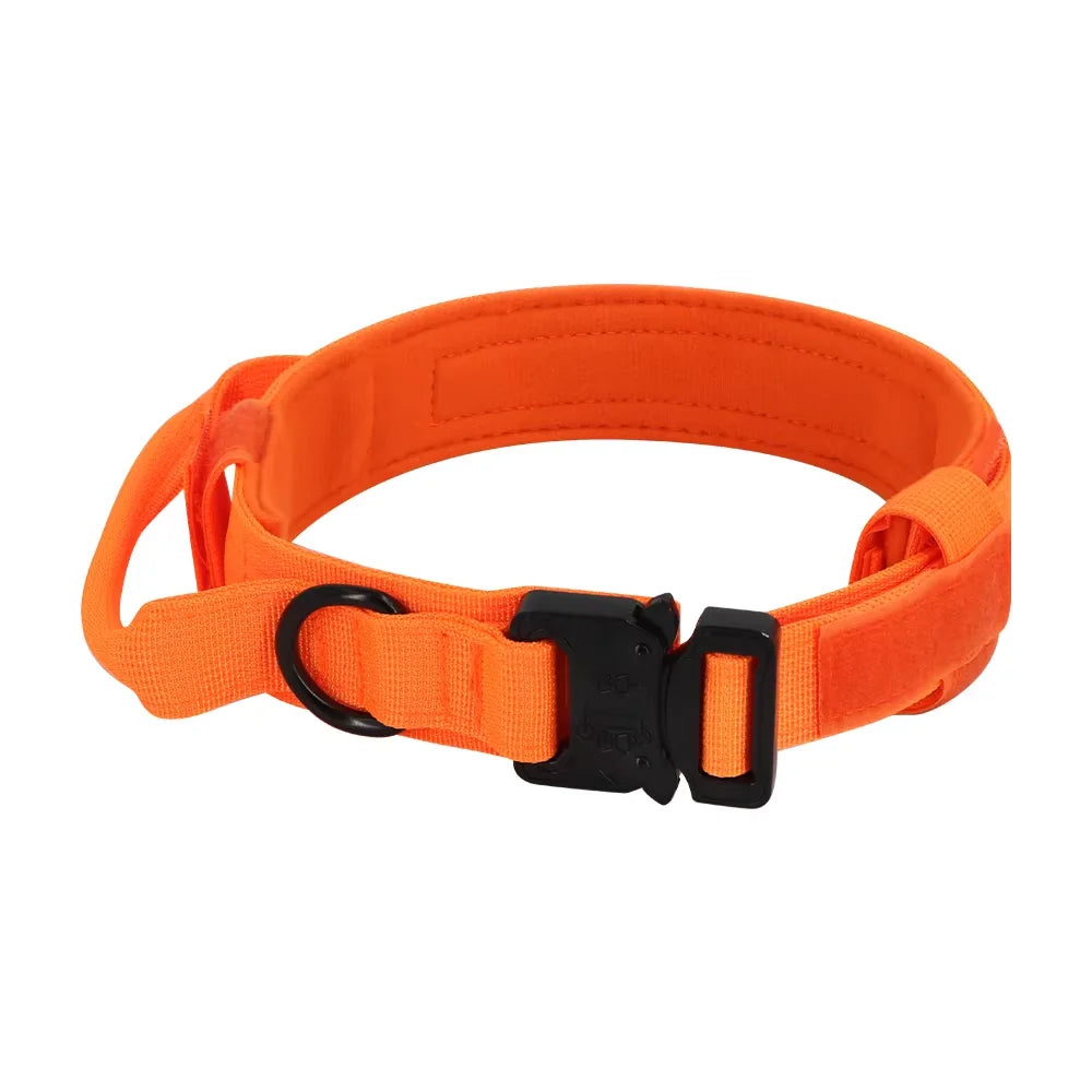 Petrvvel Adjustable Dog Training Collar And Leash Set