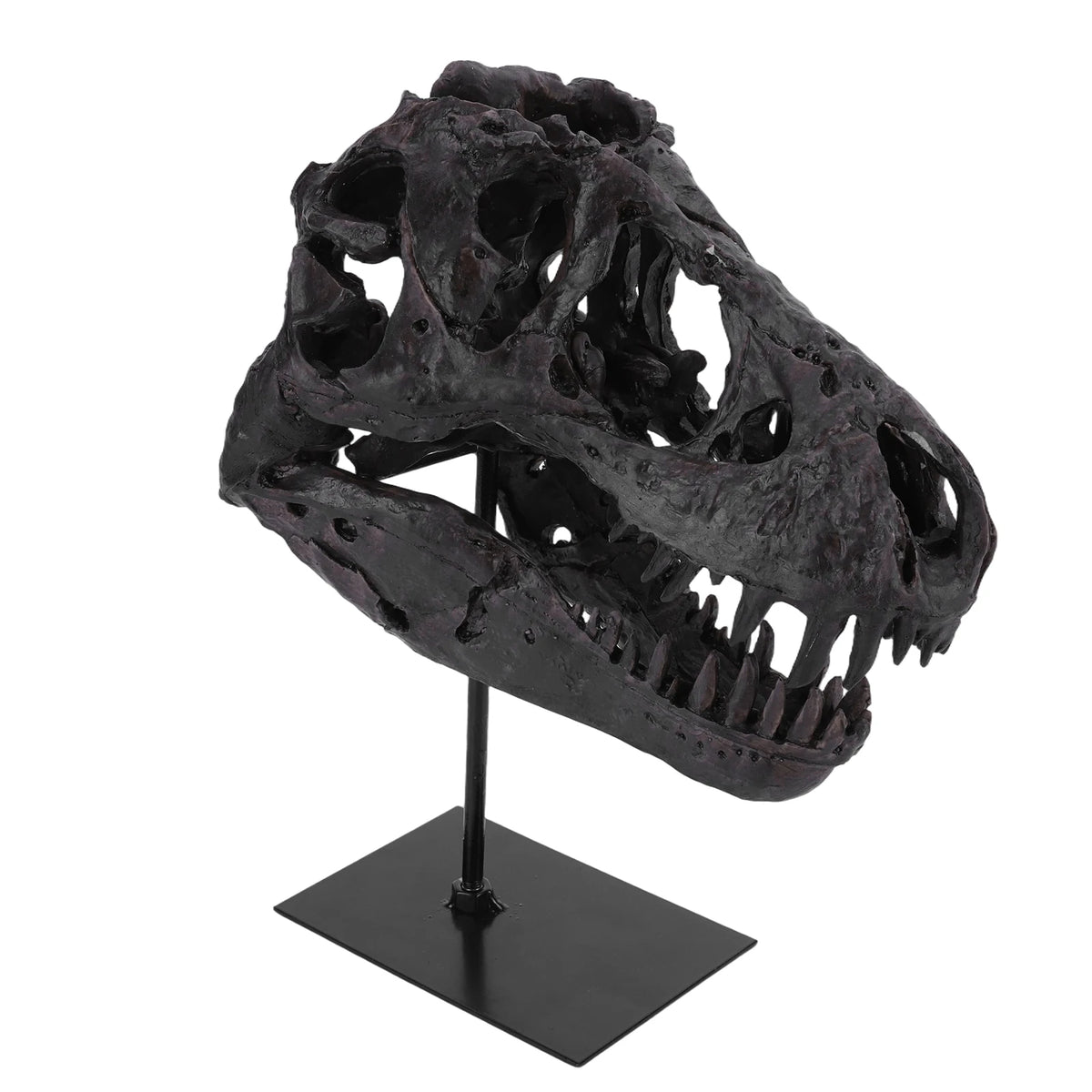 Resin Dinosaur Skull Sculpture With Bracket Home Office Decor