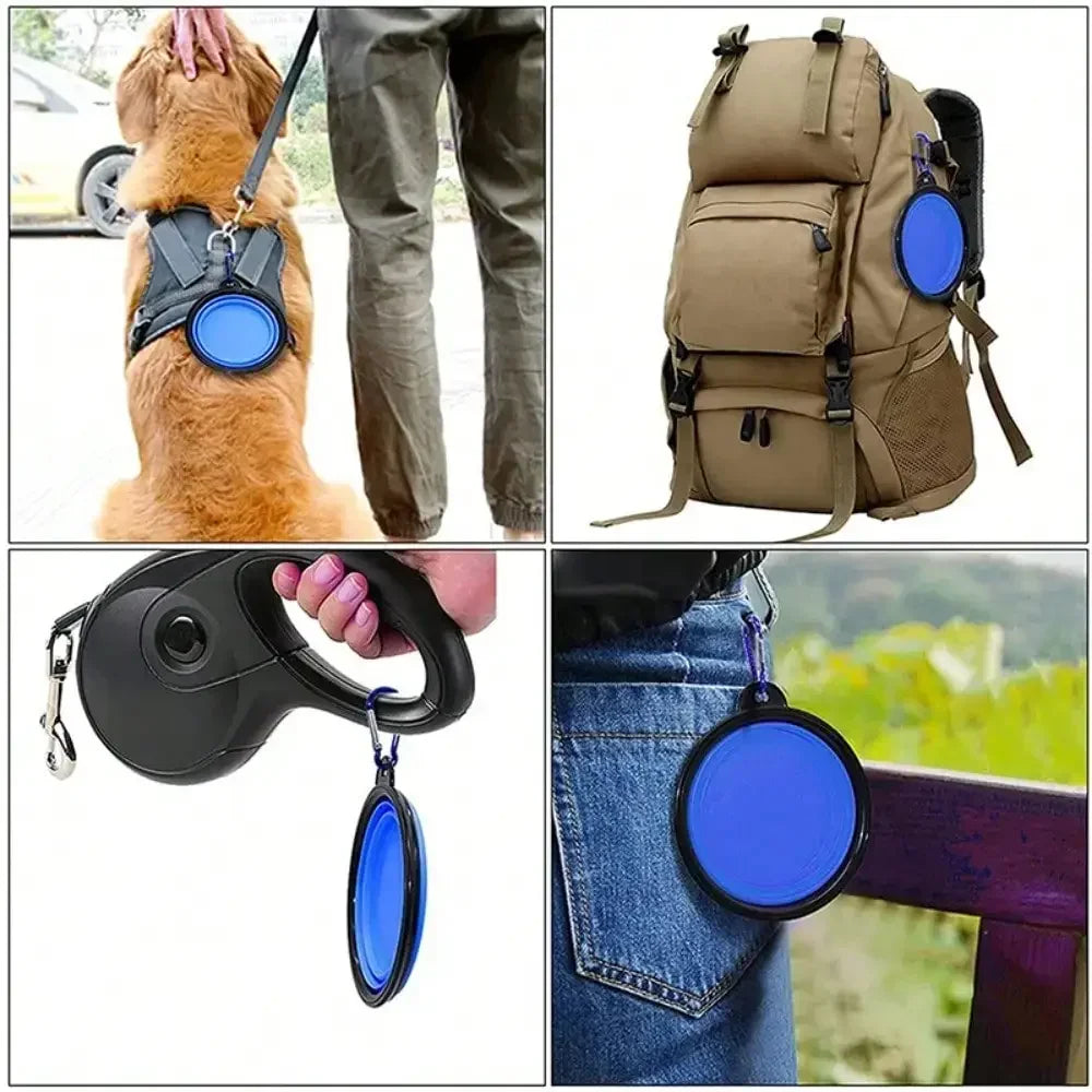 Portable Folding Pet Bowl With Carabiner For Outdoor Use