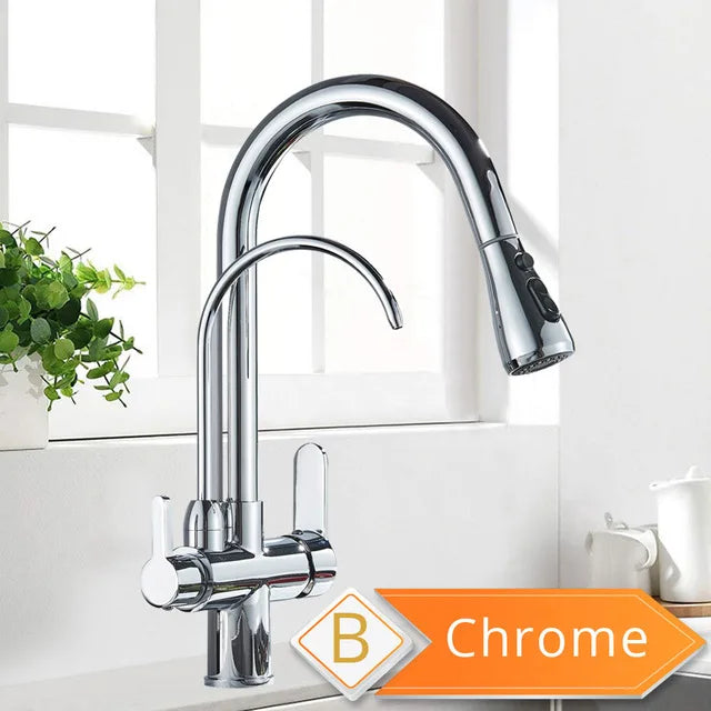 Rozin Two In One Filter Kitchen Faucet Swivel Mixer Tap