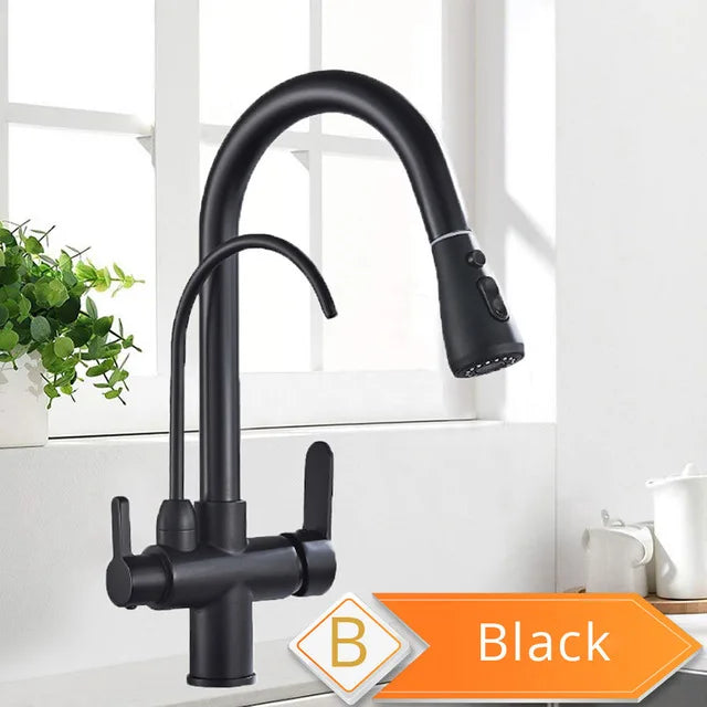 Rozin Two In One Filter Kitchen Faucet Swivel Mixer Tap