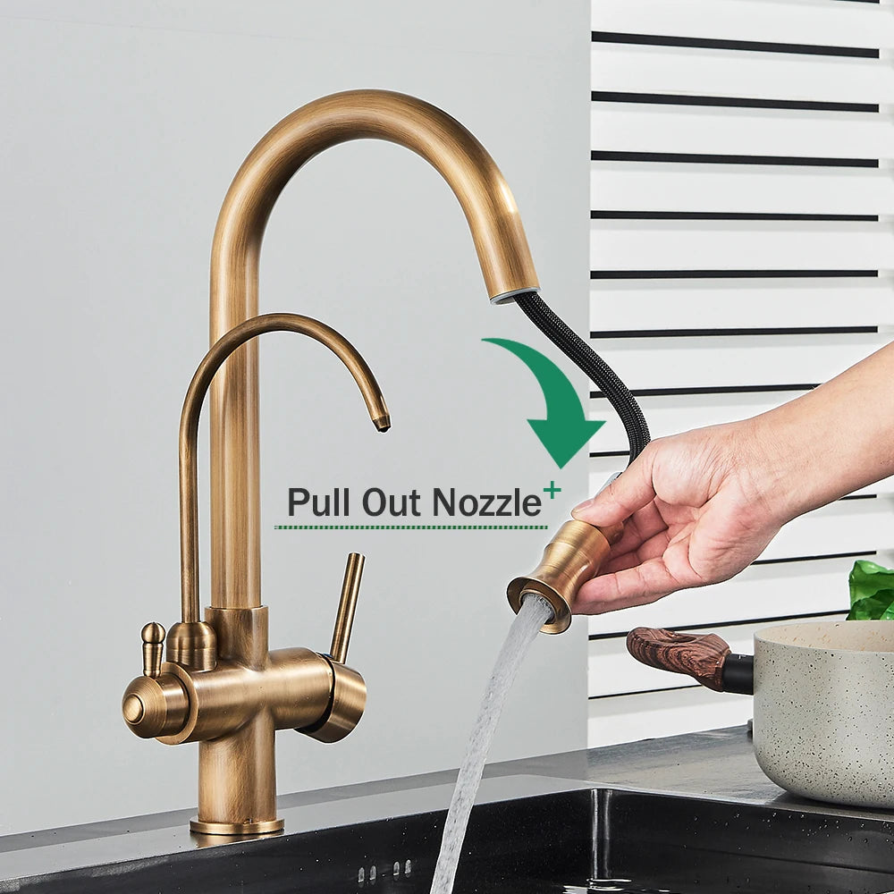 Rozin Two In One Filter Kitchen Faucet Swivel Mixer Tap
