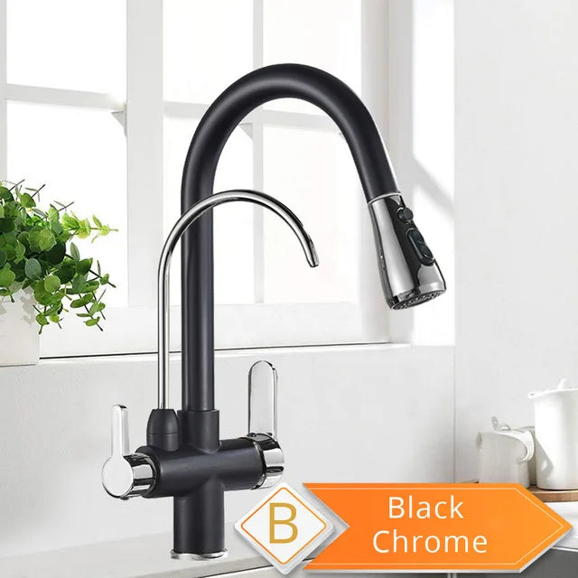 Rozin Two In One Filter Kitchen Faucet Swivel Mixer Tap