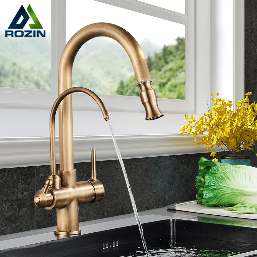 Rozin Two In One Filter Kitchen Faucet Swivel Mixer Tap