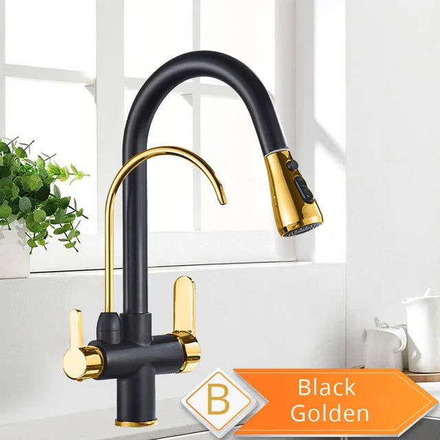 Rozin Two In One Filter Kitchen Faucet Swivel Mixer Tap