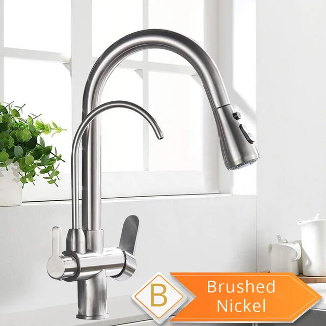 Rozin Two In One Filter Kitchen Faucet Swivel Mixer Tap