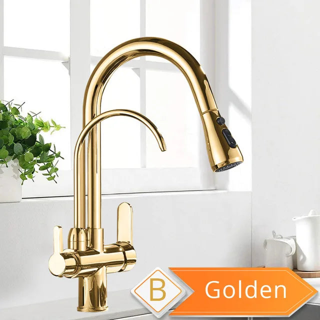 Rozin Two In One Filter Kitchen Faucet Swivel Mixer Tap
