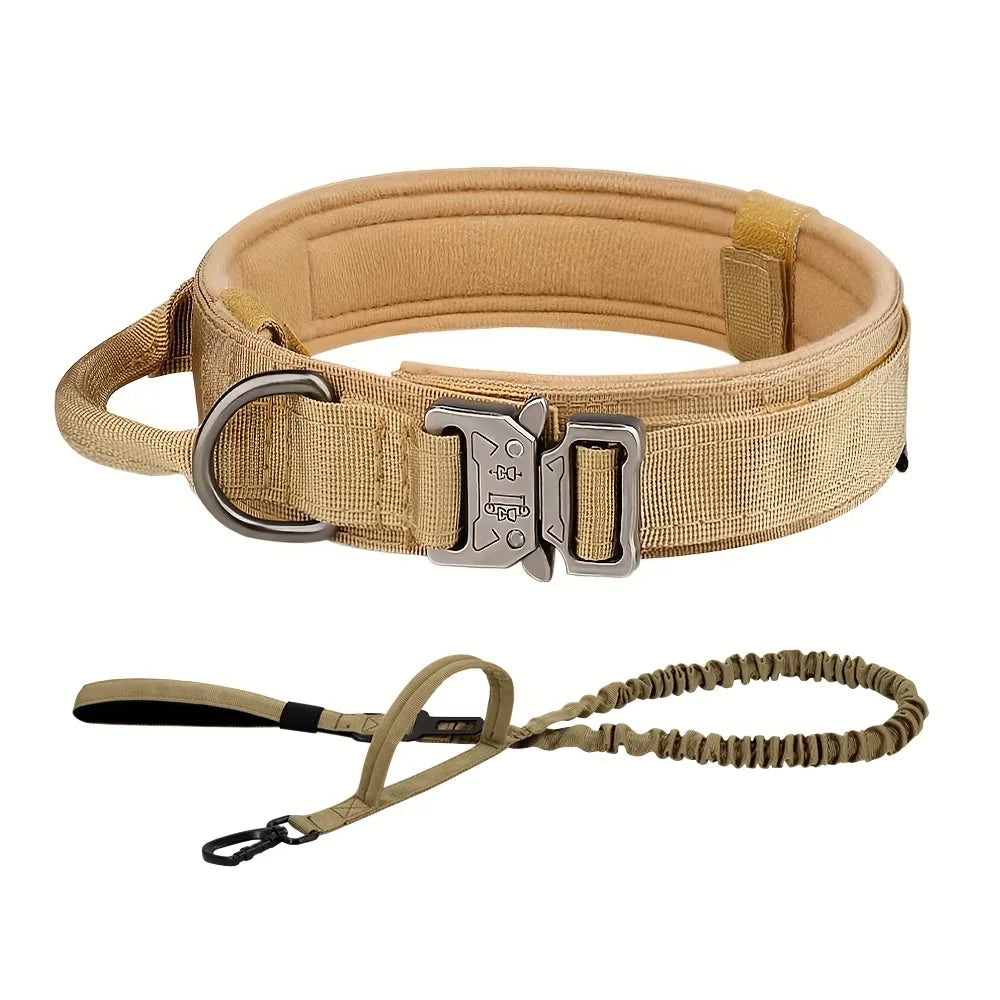 Petrvvel Adjustable Dog Training Collar And Leash Set