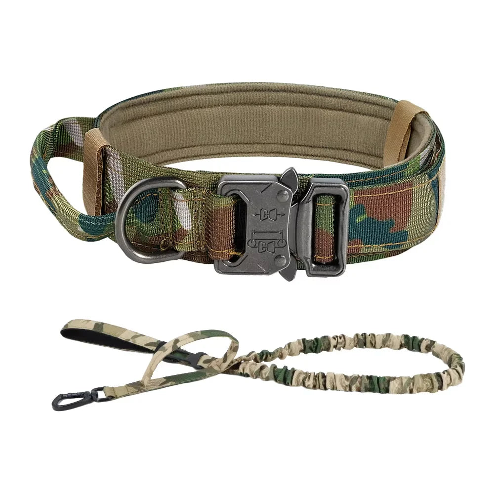 Petrvvel Adjustable Dog Training Collar And Leash Set