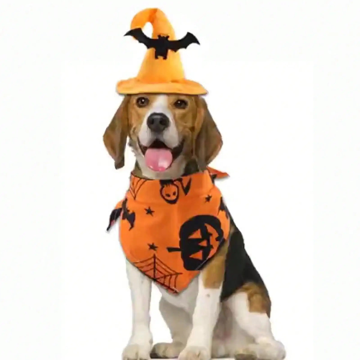 Halloween Pet Witch Hat And Bat Print Bandana Set Costume