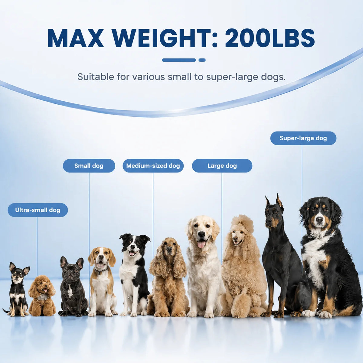 VANCEN Inflatable Dog Ramp for Easy Water and Beach Access