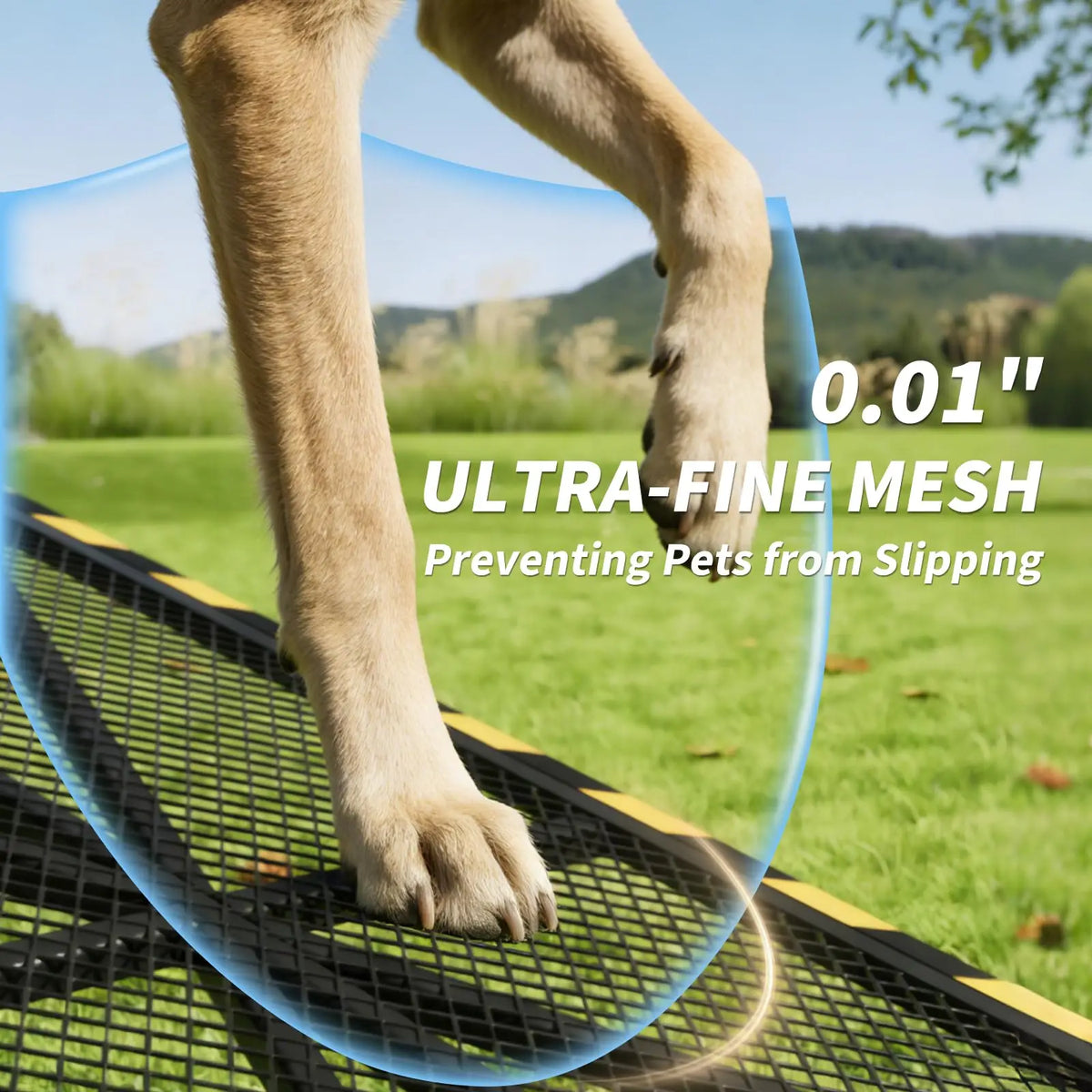 HiMISS Folding Heavy Duty Dog Ramp for Cars and SUVs