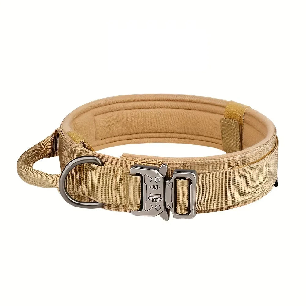 Petrvvel Adjustable Dog Training Collar And Leash Set