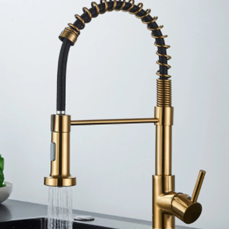Wanmivezlo Stainless Steel Pull Down Kitchen Faucet With 360 Rotation