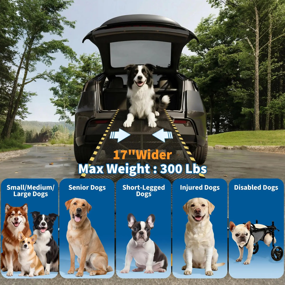 HiMISS Folding Heavy Duty Dog Ramp for Cars and SUVs