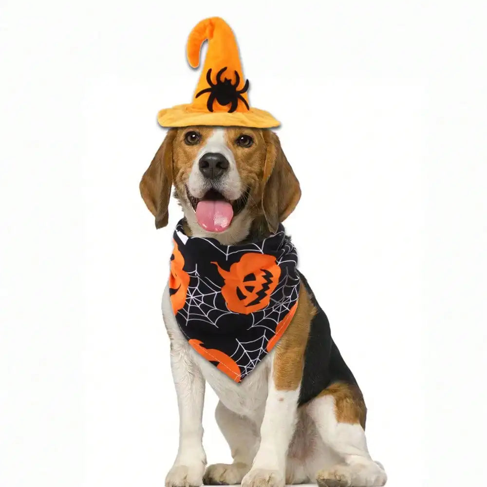 Halloween Pet Witch Hat And Bat Print Bandana Set Costume