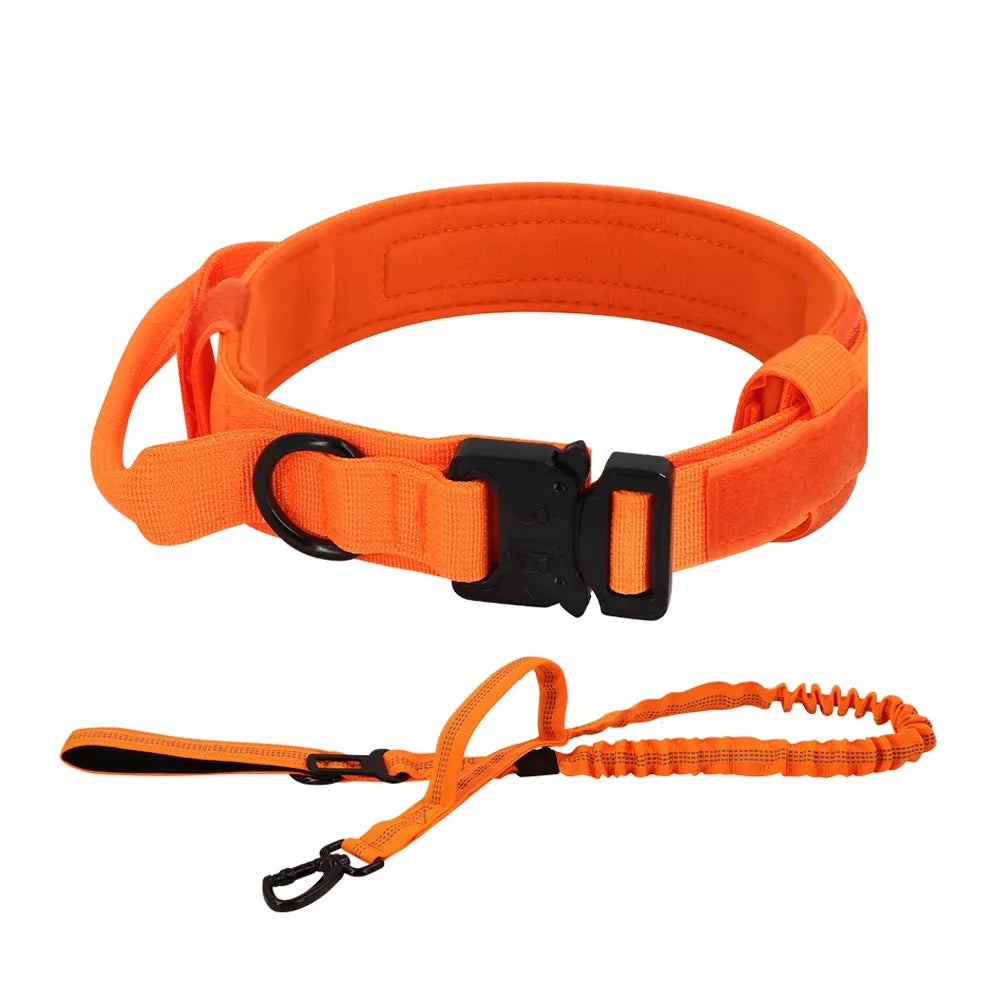 Petrvvel Adjustable Dog Training Collar And Leash Set