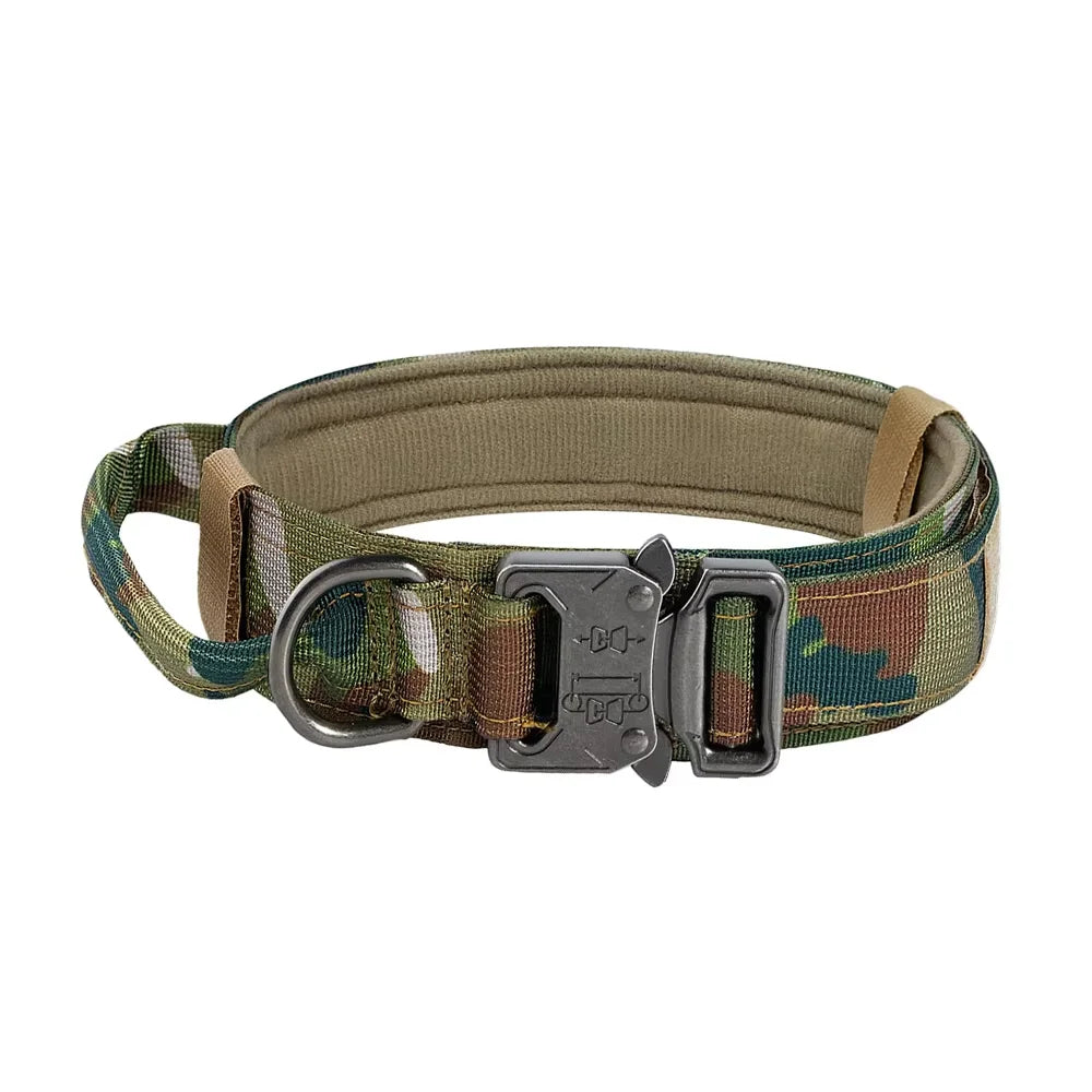 Petrvvel Adjustable Dog Training Collar And Leash Set